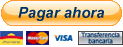 PayPal, la forma rápida y segura de pagar en Internet.